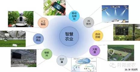 “互聯(lián)網(wǎng)+農(nóng)業(yè)” 10萬億市場(chǎng)的軟件開發(fā)機(jī)遇